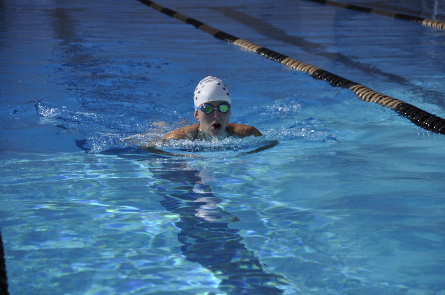 Lap Pool • Recreation and Wellness Center • UCF